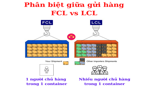 so sánh FCL vs LCL