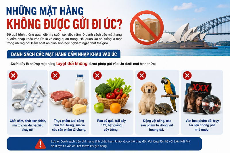 dich-vu-gui-hang-di-uc-3